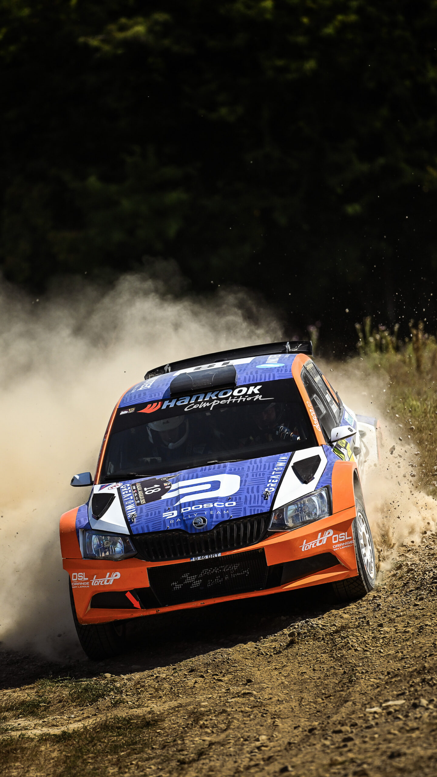 34 copyright flaviuscroitoriu raliuliasului2025 26